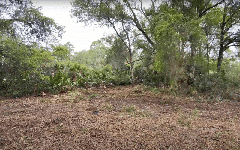 Finish Grading in Athens | Brush Clearing